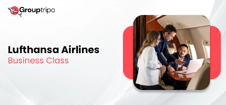 lufthansa airlines business class